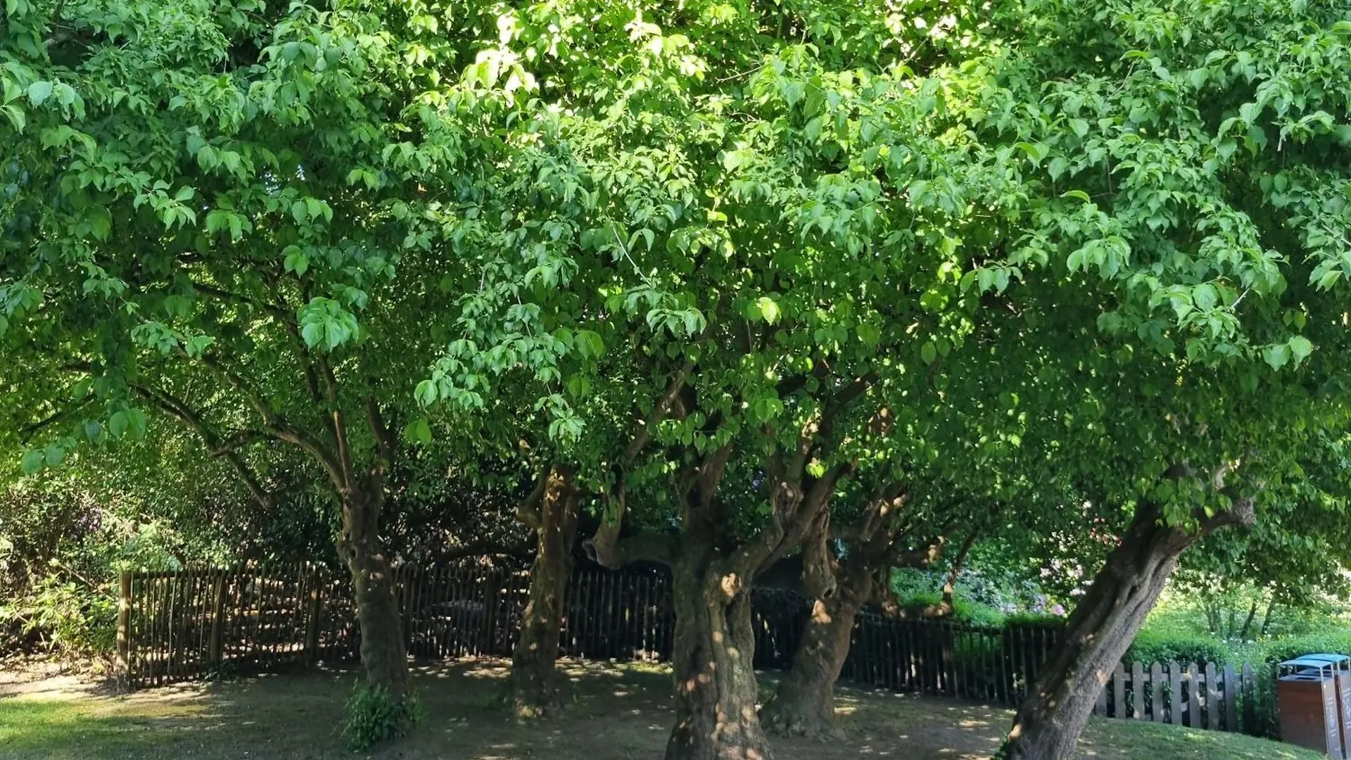 Chinese Pavilion Park - Magnificent Apartment בריסל בלגיה