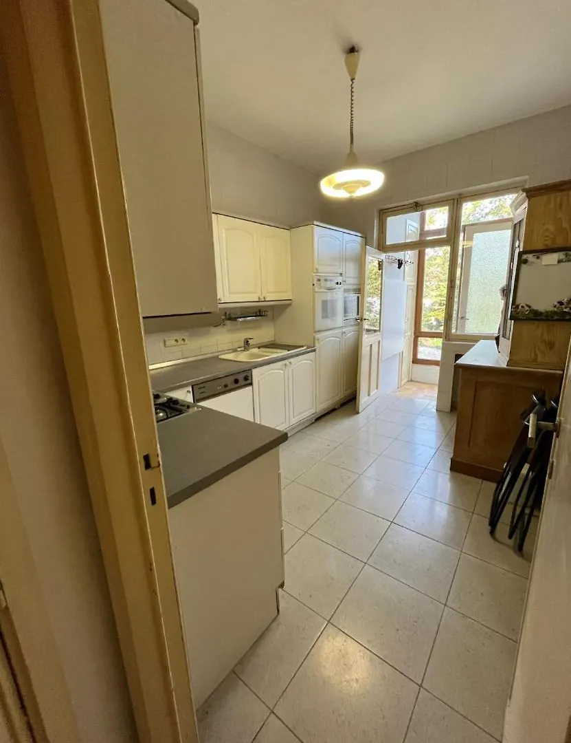 Chinese Pavilion Park - Magnificent Apartment בריסל בלגיה